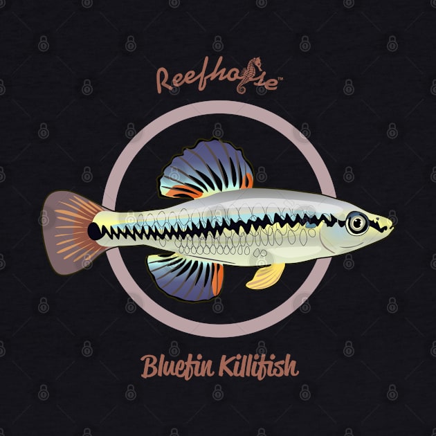 Bluefin Killifish by Reefhorse